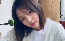 “3 hạt, 2 rau, 1 thịt” tốt nhất để ngăn ngừa tắc nghẽn động mạch, bảo vệ trái tim