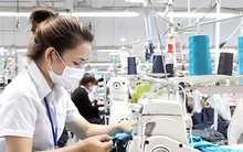 Đề xuất phân loại công việc nặng nhọc, lao động nữ được nghỉ hưu sớm hơn lộ trình tuổi quy định