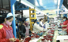 ‘Trái ngọt’ từ kênh xuất khẩu trực tuyến