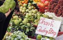 Giá chanh Quảng Đông - Trung Quốc lao dốc theo trend trà chanh giã tay