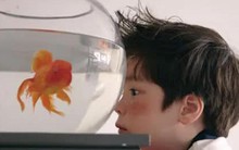 Muốn con trở thành đứa bé hiểu chuyện, bố mẹ đừng giấu 3 điều này