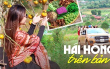 Giữa vườn hồng, vườn cải ở Mộc Châu có một khu vui chơi "bí mật" với nhiều món đặc sản nấu ăn tại chỗ