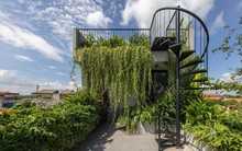 Có gì trong ngôi nhà ống "phủ rèm cây xanh" của gia đình 3 thế hệ xuất hiện trên tạp chí kiến trúc nổi tiếng của Mỹ?