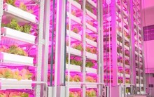 Cho robot đi…trồng rau, Trung Quốc lại gây ngỡ ngàng với trình độ công nghệ đỉnh cao khi ra mắt mô hình trang trại như ‘chung cư 20 tầng’ đầu tiên của thế giới