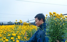 Làng hoa lâu đời nhất miền Bắc tất bật chuẩn bị vào vụ Tết