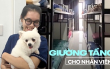 Một công ty ở Đà Nẵng xây phòng ngủ, trang bị 21 chiếc giường tầng để giữ chân nhân viên
