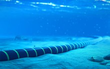 Sự cố trên tuyến cáp quang biển quốc tế AAE-1 đã được khắc phục xong