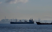 Giá rẻ kỷ lục, một mặt hàng từ Nga ồ ạt vào Việt Nam trong 10 tháng đầu năm, sản lượng của Nga gấp 14 lần so với nước ta