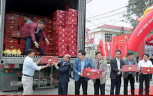 Bưởi Diễn lần đầu xuất khẩu sang Hoa Kỳ