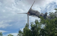 Dự án điện gió đầu tiên tại Việt Nam bị ngân hàng siết nợ: Chủ đầu tư nợ xấu hơn 1.200 tỷ tại Agribank