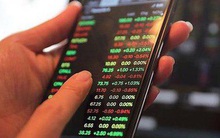 Nạp tiền làm nhiệm vụ "tăng giá trị của các mã chứng khoán", người phụ nữ mất trắng số tiền lớn