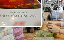 Bảo hiểm nhân thọ: Nhiều dư địa, lắm thách thức