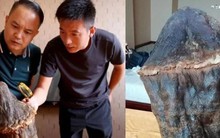 Nhặt “hòn đá mềm như bông” từ sông về nhà, lão nông tái mặt khi nghe chuyên gia cảnh báo