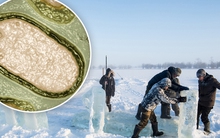 Các thành phố ở Vòng Bắc Cực sẽ sup đổ và phải đối mặt với virus thời tiền sử có thể sắp thức tỉnh?