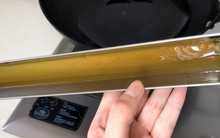 Đầu bếp nhà hàng mách: Dầu thải trong máy hút mùi là một "bảo bối", bạn bỏ đi sẽ là sai lầm lớn