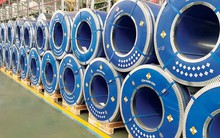 Nhóm quỹ Hàn Quốc trở thành cổ đông lớn của Thép Nam Kim
