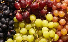 1 loại quả ngọt nhưng lại có thể kiểm soát đường huyết, phòng chống ung thư: Rất sẵn ở chợ Việt