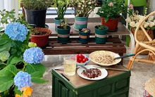 Quyết tâm không bỏ phí ban công dù nhỏ, cô giáo trẻ mát tay trồng được gần 100 chậu hoa khoe sắc