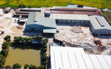 Sở Y tế Nghệ An lên tiếng về vụ hàng chục công nhân mắc bệnh bụi phổi, 6 người tử vong