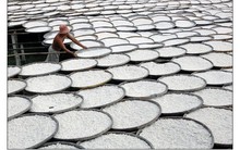 'Cây tỷ đô' của Việt Nam bất ngờ được Malaysia mạnh tay thu mua: xuất khẩu tăng nóng gần 300% trong tháng 10, bỏ túi hơn 5 triệu USD