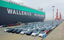 Tesla đang bị các công ty bảo hiểm “tẩy chay” trên chính sân nhà, Elon Musk gánh thêm nỗi lo