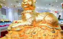 Cận cảnh tượng mèo bằng vàng 9999 khổng lồ nặng 48 kg