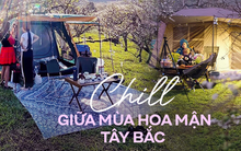 Rủ nhau đi cắm trại giữa vườn mận rực nở ở Mộc Châu