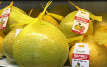 Lô bưởi Diễn xuất khẩu chính ngạch đầu tiên đến Anh