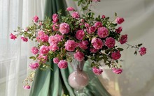 9x Hà thành gợi ý cách cắm hoa hồng vạn người mê ngày Valentine