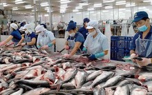 ‘Ngấm đòn’ lạm phát, doanh nghiệp xuất khẩu thủy sản tuột dốc mạnh