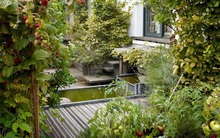 Khu vườn trên mái xanh mướt với tầm nhìn thẳng ra tháp Eiffel