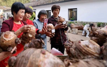 Bí quyết sống thọ, tránh xa ung thư của dân làng "cứ 100 người thì có 1 người trăm tuổi" ở Trung Quốc