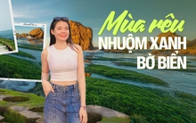 Những ghềnh đá miền Trung hóa “dải lụa xanh”, so độ rực rỡ chẳng kém mùa hoa Tây Bắc