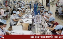 Tiếp tục giảm, giãn thuế cho doanh nghiệp và người dân