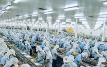 Quý kinh doanh kém sắc của các doanh nghiệp thủy sản