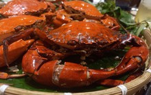 Bất ngờ giá cua biển Cà Mau