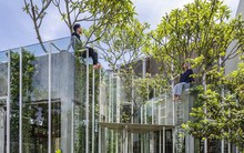 Mê mẩn ngôi nhà dùng dây leo làm nội thất như trong trong truyện cổ tích