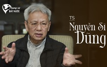 TS Nguyễn Sĩ Dũng: Nếu không có các tập đoàn thành công, thì Việt Nam nhìn vào đâu để ‘hoá rồng’?