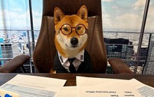 Tin được không: Elon Musk ‘bổ nhiệm’ chó Shiba Inu làm CEO Twitter, hàng loạt memecoin ‘xanh rực rỡ’