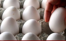 Trứng gia cầm  - “Biểu tượng” lạm phát tại Mỹ