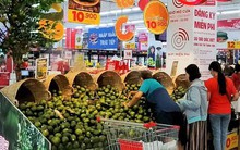 TP HCM: Cam sành rẻ chưa từng có, nhiều điểm bán hàng treo bảng giải cứu