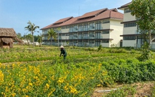 Đến resort trải nghiệm trồng rau, nuôi gà