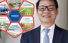 Hệ sinh thái khổng lồ của tỷ phú Trần Bá Dương sẽ vận hành thế nào năm 2023?