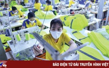 Sản xuất xanh giúp doanh nghiệp ứng phó khi đơn hàng giảm