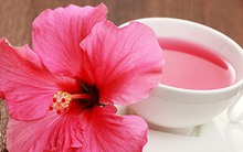 1 thức uống từ hoa giúp kiểm soát đường huyết, giảm nếp nhăn và cân nặng nhưng ít người biết