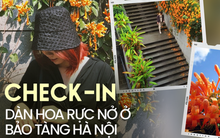 Những "đốm lửa" rực nở ở Bảo tàng Hà Nội tạo thành góc sống ảo mộng mơ hút chân giới trẻ đến check-in