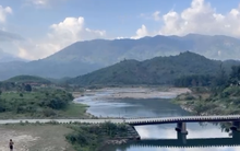 Vì sao Khánh Hoà dừng thi công dự án cầu Sông Trang 80 tỉ đồng?