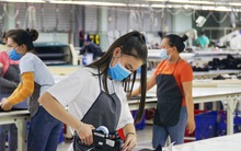 Hơn 20% doanh nghiệp tại TP Hồ Chí Minh có doanh thu tăng