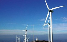 Công ty con của Bamboo Capital bất ngờ tăng lãi suất trái phiếu lên 14% vì sợ trái chủ bị thiệt