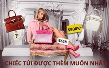 Có gì ở "chiếc túi triệu USD được thèm muốn nhất hành tinh": Số phận bị trộm liên tục, anh trai triệu phú còn lén "đút túi", 1 nạn nhân nhập viện vì quá shock